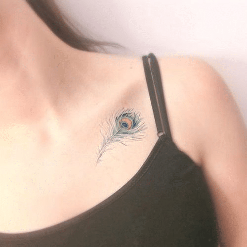 Delicate peacock feather tattoos