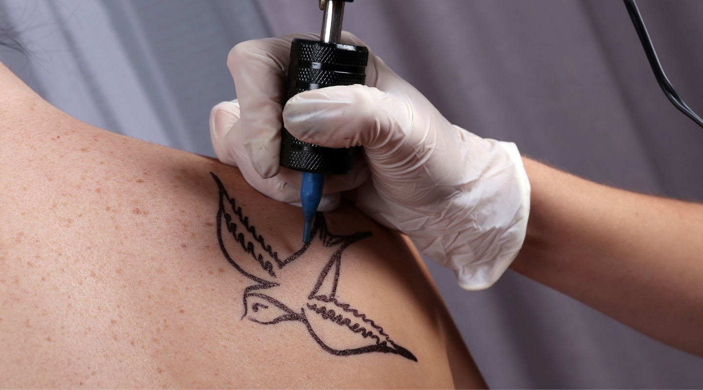 Facts About Swallow Tattoos
