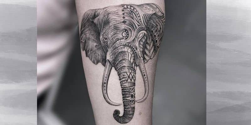 Realistic Elephant Tattoos