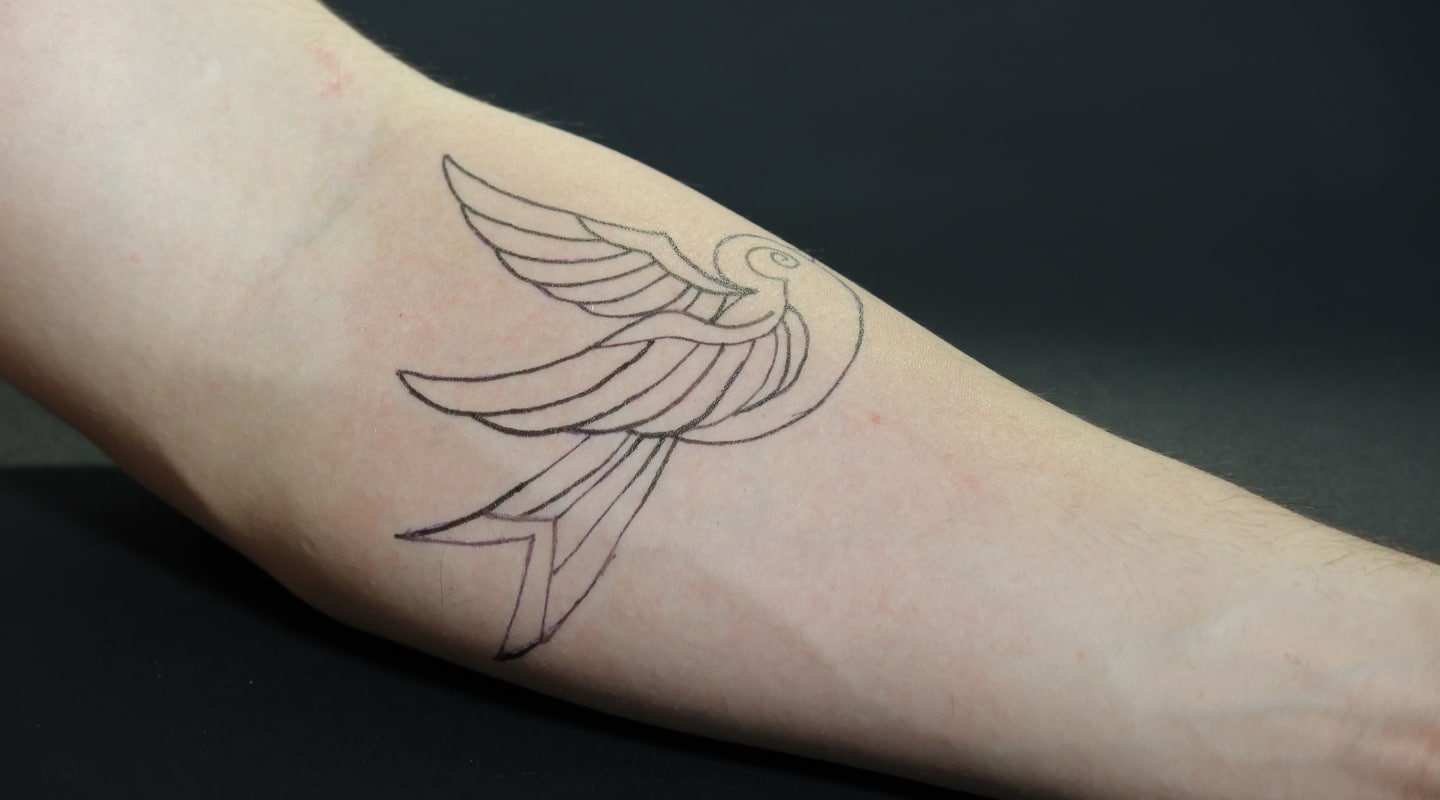 Sparrow Tattoo vs. Swallow Tattoo