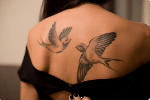 Swallow Tattoos on back