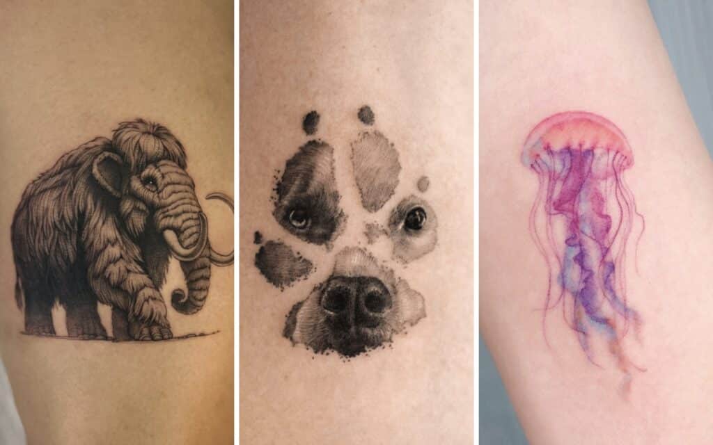 Animal tattoo ideas featured image