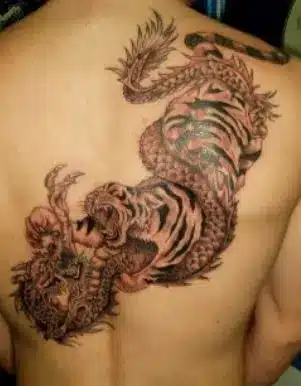 Dragon and Tiger Tattoo