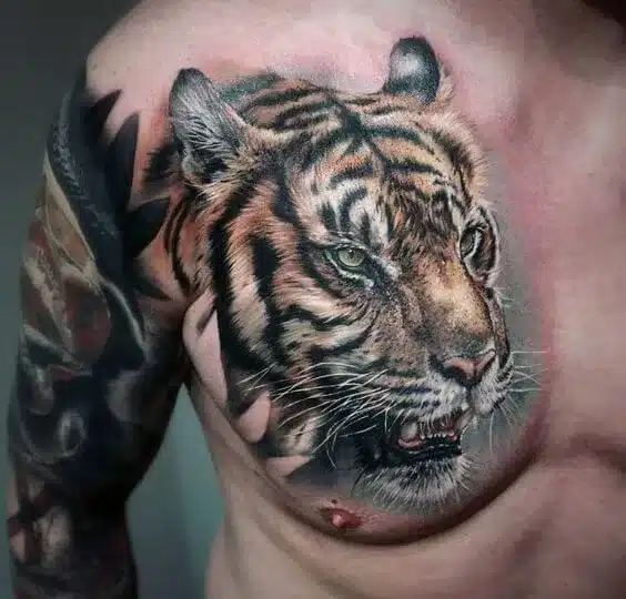 Tiger tattoo featured image