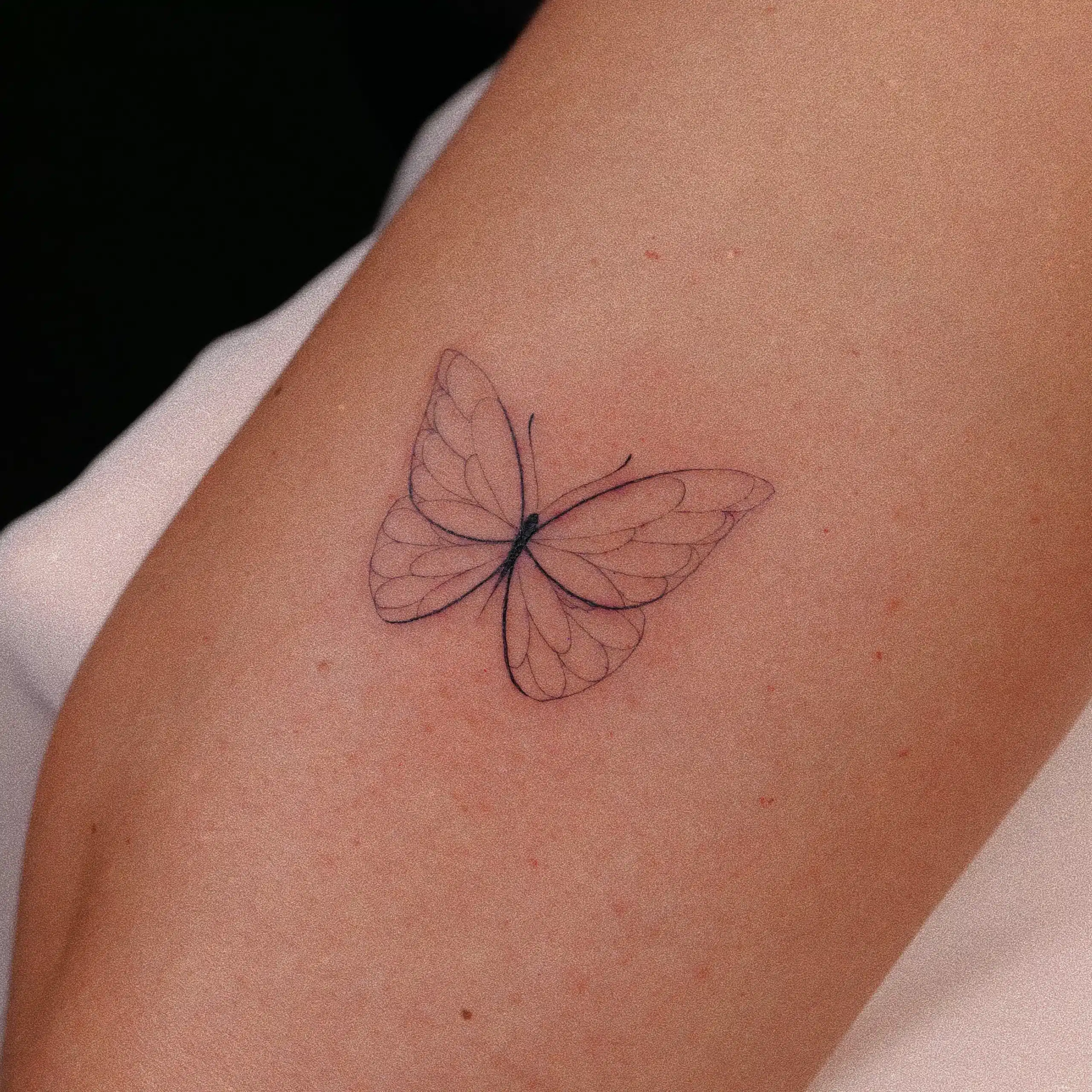 fine line butterfly tattoo