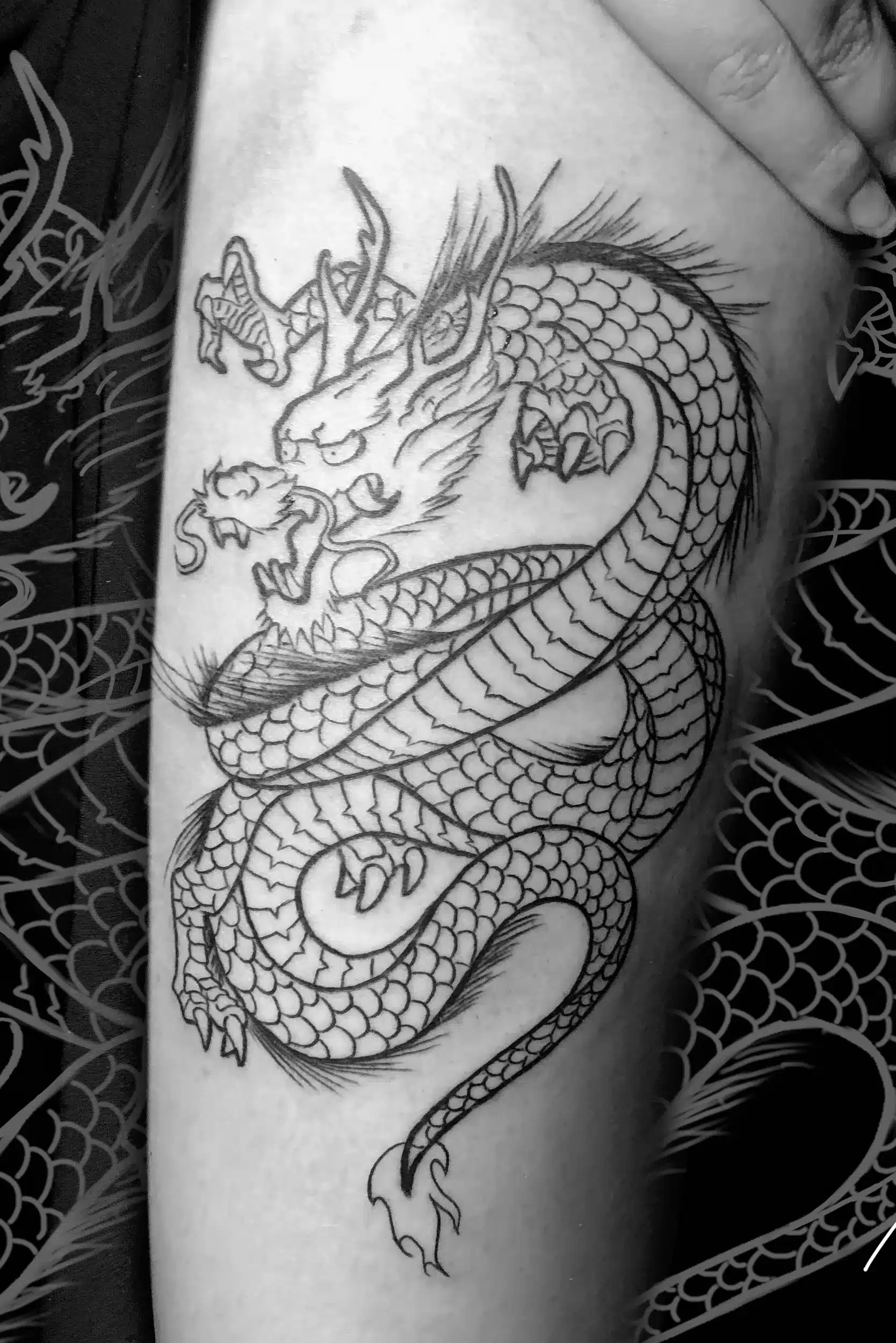 Chinese White Dragon Tattoo