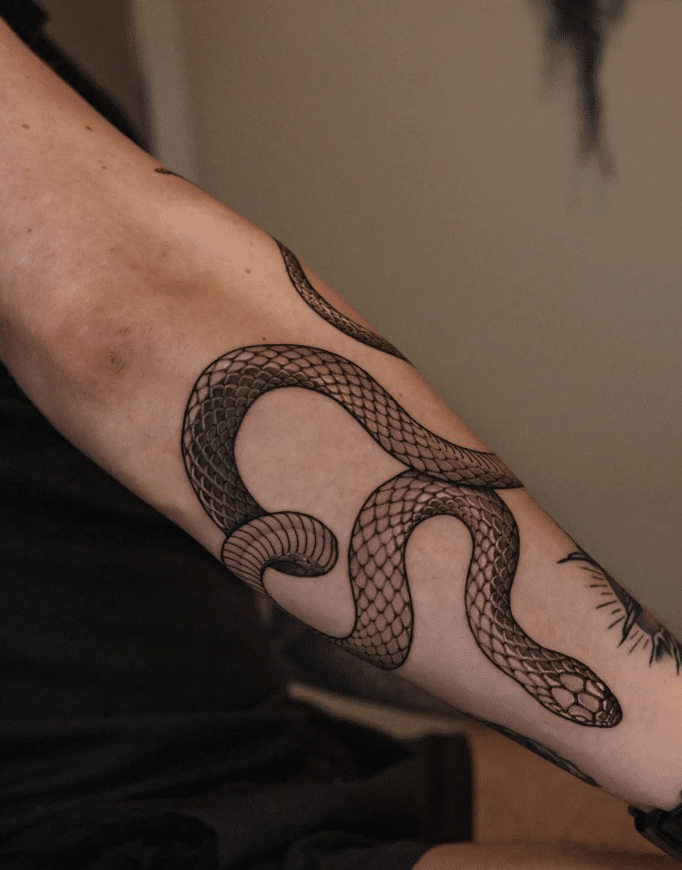 Snake Tattoo On Forearm