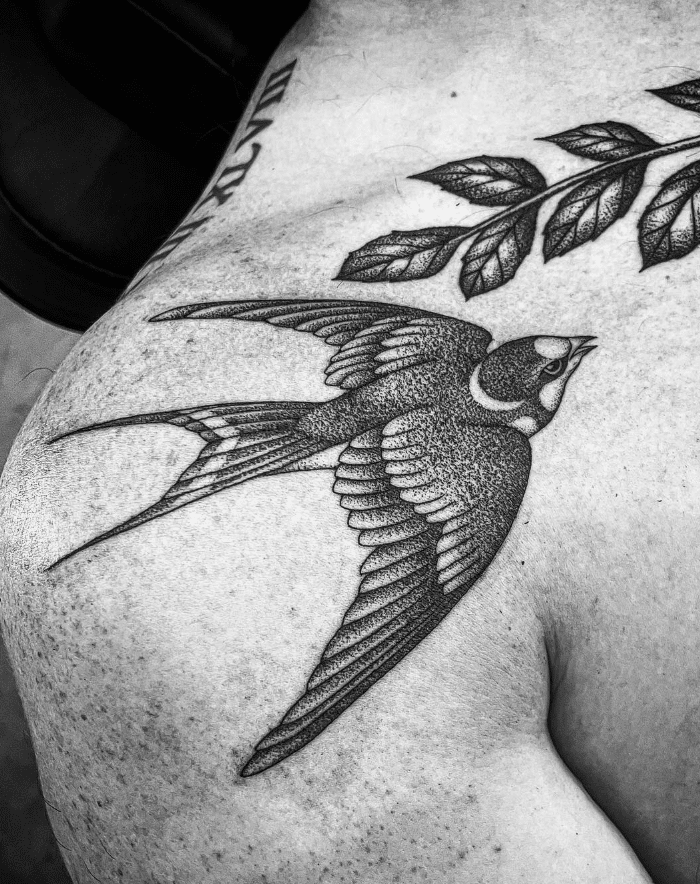 Swallow Shoulder Tattoo