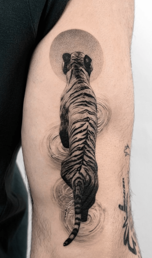 Tiger In Water Tattoo