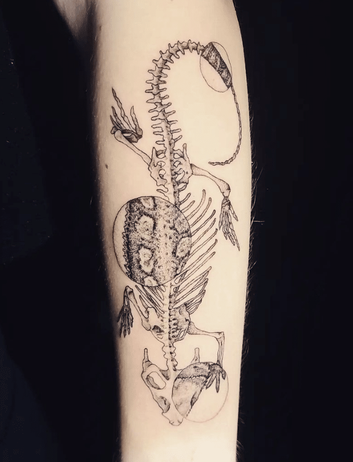 Bearded Dragon Skeleton Tattoo
