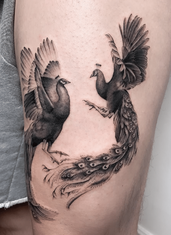 Double Peacock Tattoo