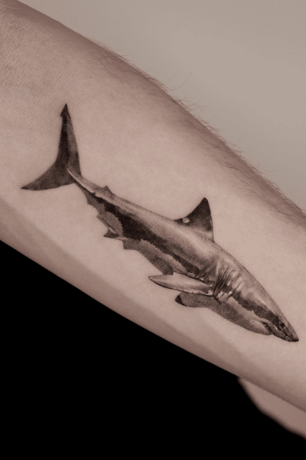 Great White Shark Tattoo