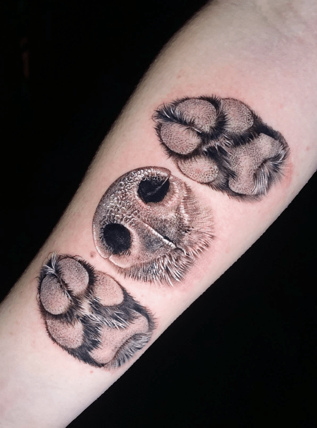 Paws and Nose Tattoo