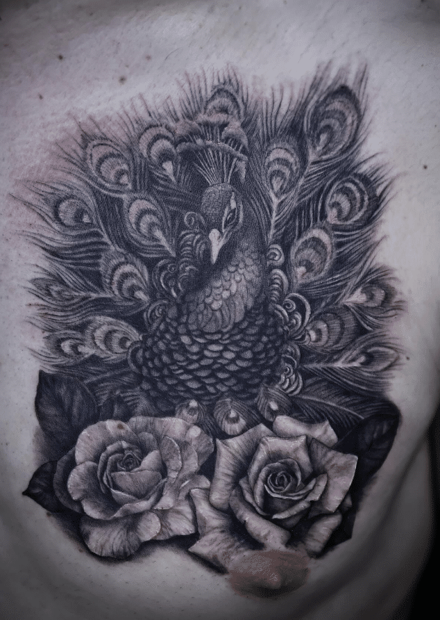 Peacock And Rose Tattoo