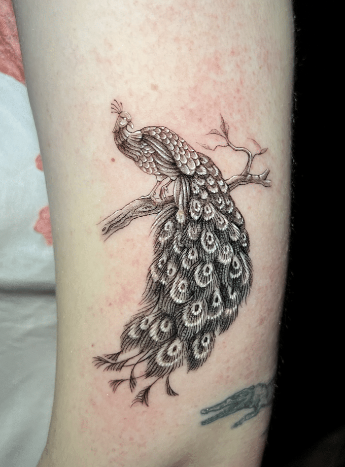Peacock Branch Tattoo