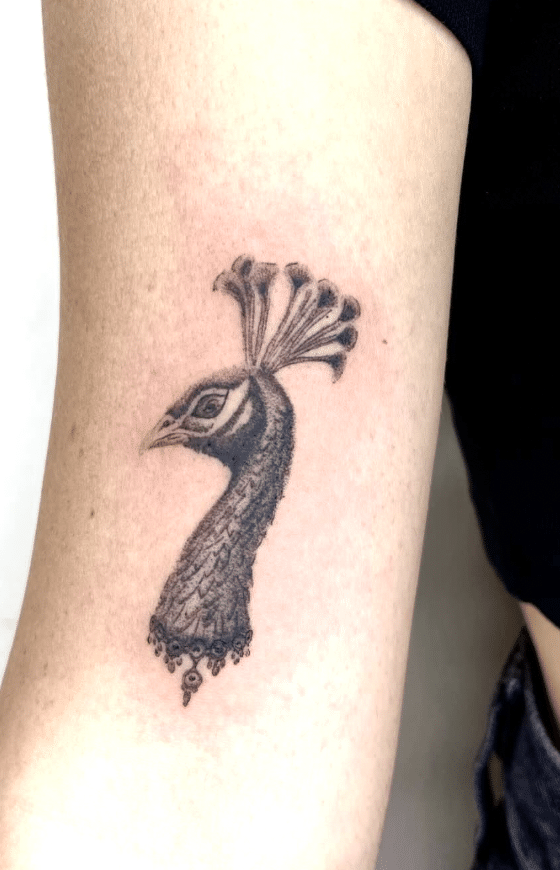 Peacock Head Tattoo