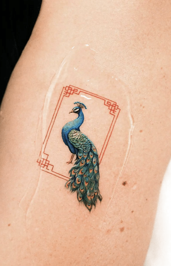 Peacock Oriental Tattoo