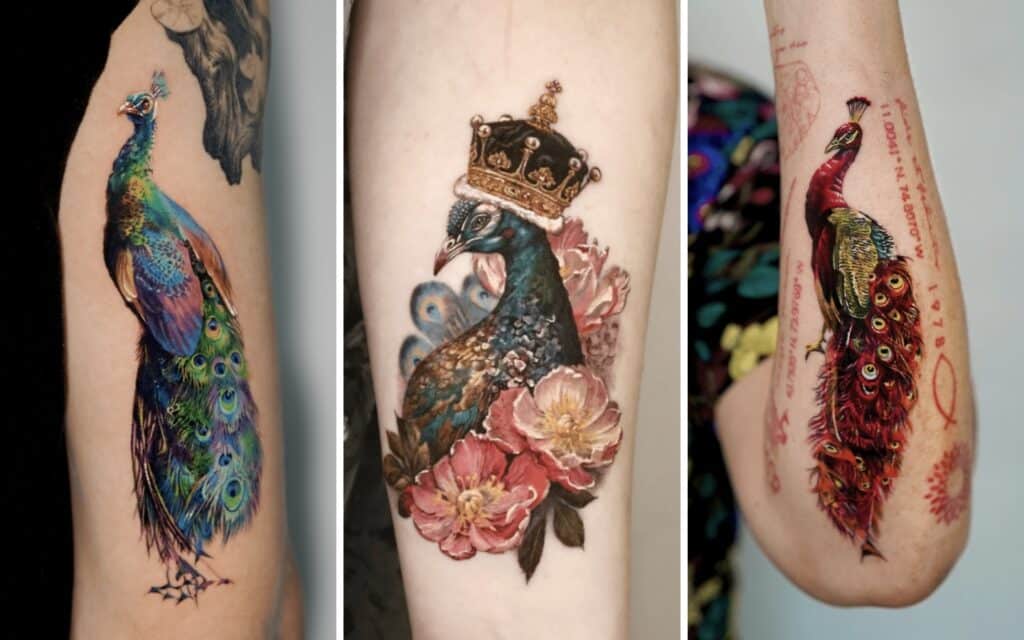 Peacock tattoo ideas featured image