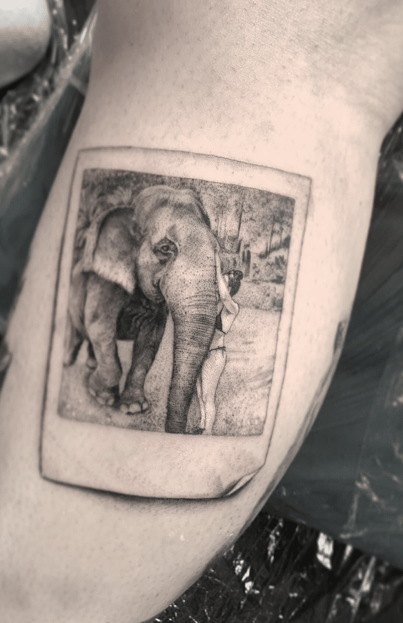 Polaroid Elephant Tattoo