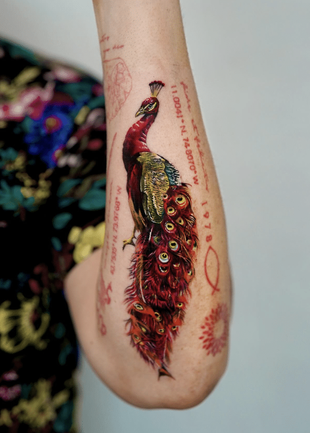 Red Peacock Tattoo