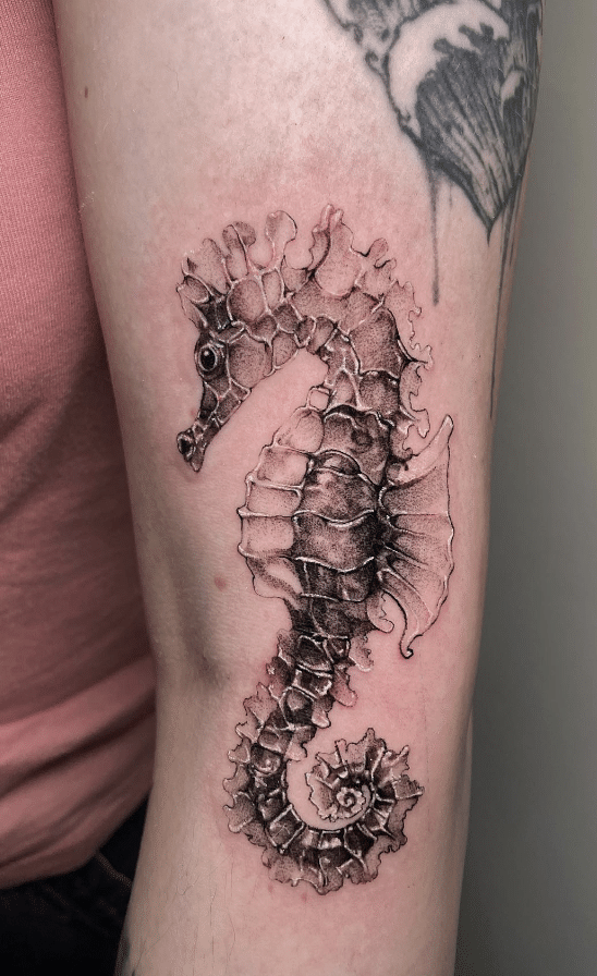  Seahorse Tattoo