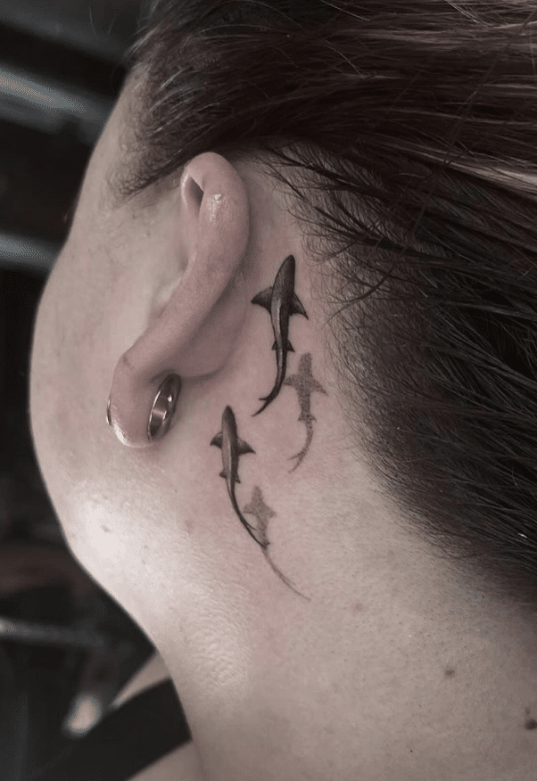 Shark Ear Tattoo