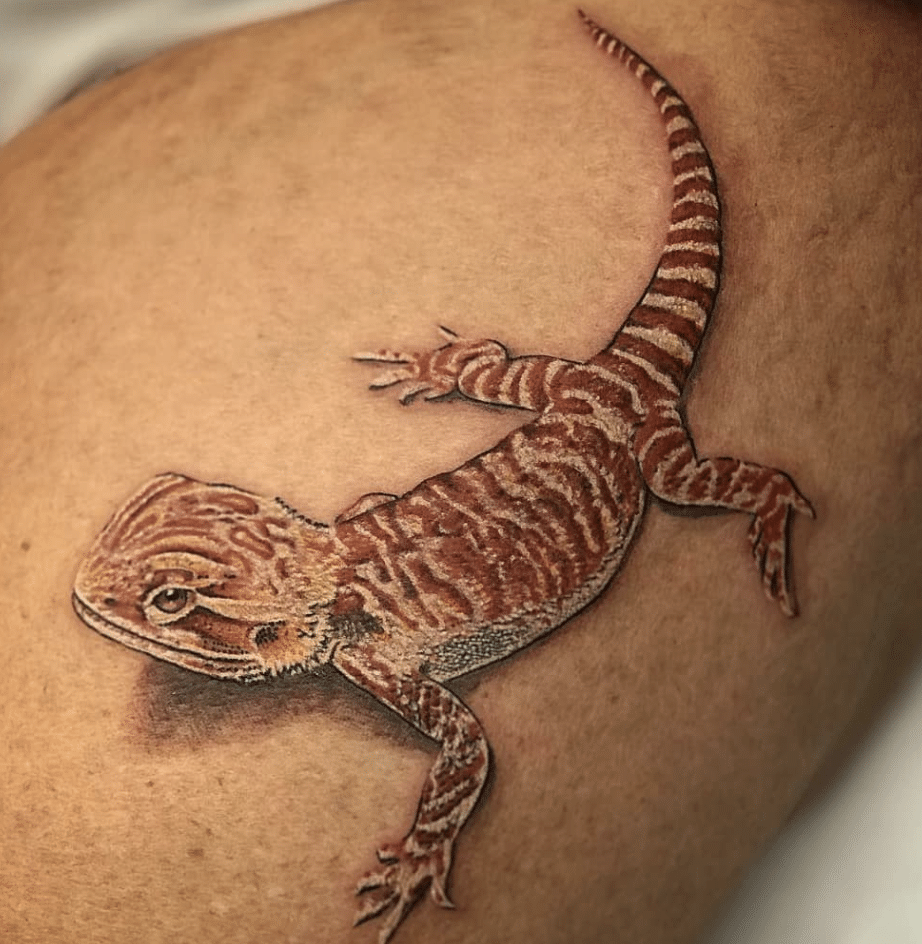 Standard Bearded Dragon Tattoo