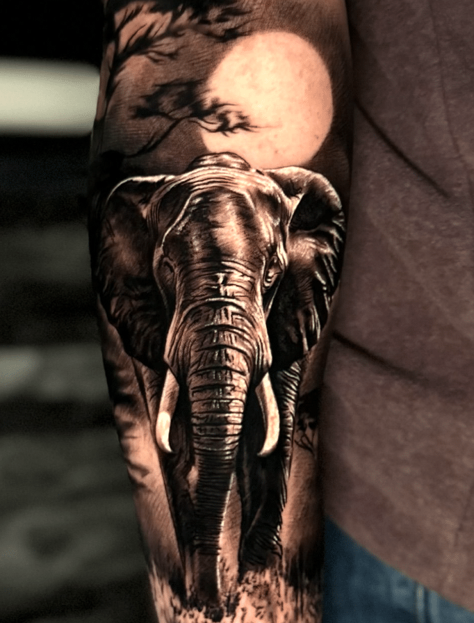 Standard Elephant Tattoo